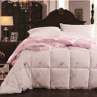 ���w�޽q��