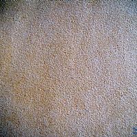 ������Ƥ�q