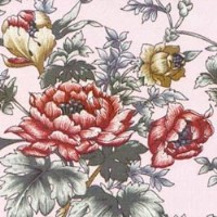 ��ȼ�Ҿ�ɳ�l(f��)��