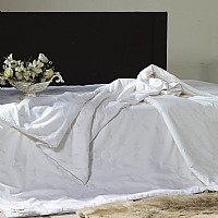 ����Q�z��