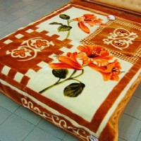 ����(y��u)�𪄽{�]ë̺