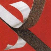 ���zħ�g(sh��)�N