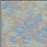 ���Ứ����