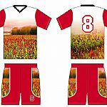 �������I(y��)���������A������@��������