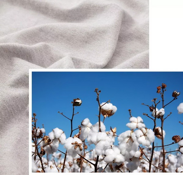 COMOLIVING�Ƴ��~������˯���������ߵ�����ęn