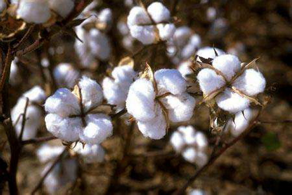 ��������Ȼ���������ѻ��Ҽ��ĸ�ɽ���w������s�ߴ����﷦����