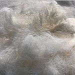 �Ϻ����D��ӡ�����]ӯ�����Ϻ���(y��u)�|Ů�b