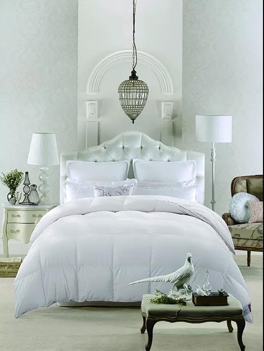 ����Ʒ�Z�q������(bi��o)��(zh��n)���_���쿴�����I�ı����_(d��)��(bi��o)�˛]��