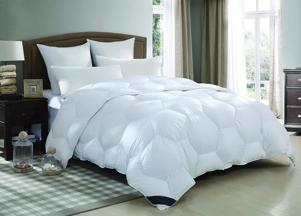 ����Ʒ�Z�q������(bi��o)��(zh��n)���_���쿴�����I�ı����_(d��)��(bi��o)�˛]��