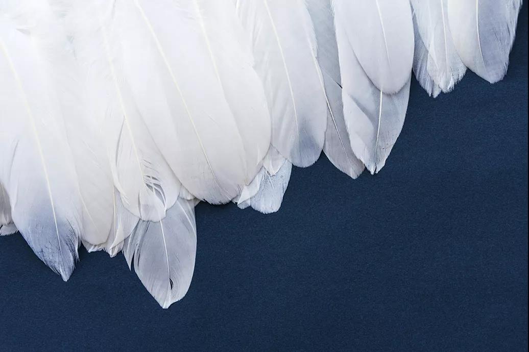 ����Ʒ�Z�q������(bi��o)��(zh��n)���_���쿴�����I�ı����_(d��)��(bi��o)�˛]��