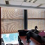 �ɶ������ɶ�����񺟡��ɶ��񺟶����ߴ�