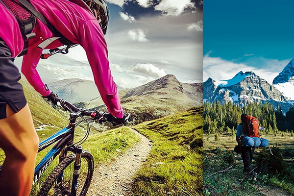 �����w�S���Ƴɹ������ܿ��������؜ر����{(di��o)����������ʲô�W����