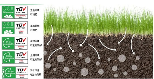 �۽��ɳ��m(x��)�l(f��)չ���c���ṩ��S��Q�������m�����Є���